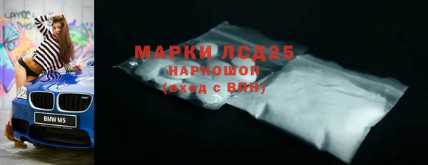 дживик Осташков