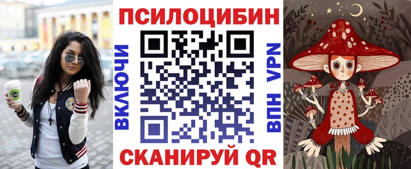 кракен онион  Лесной  Галлюциногенные грибы Psilocybe  где купить  